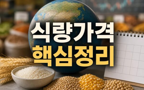 세계 식량가격 2026 적용일과 확인 방법 총정리 최신 기준