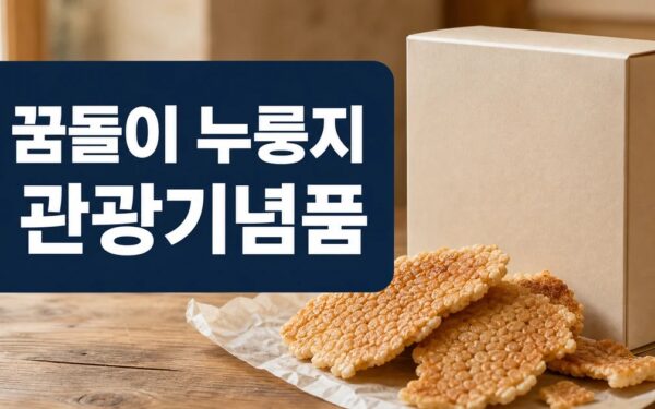 대전시 일정과 비용, 방문 전 체크리스트 일정·교통·비용 정리